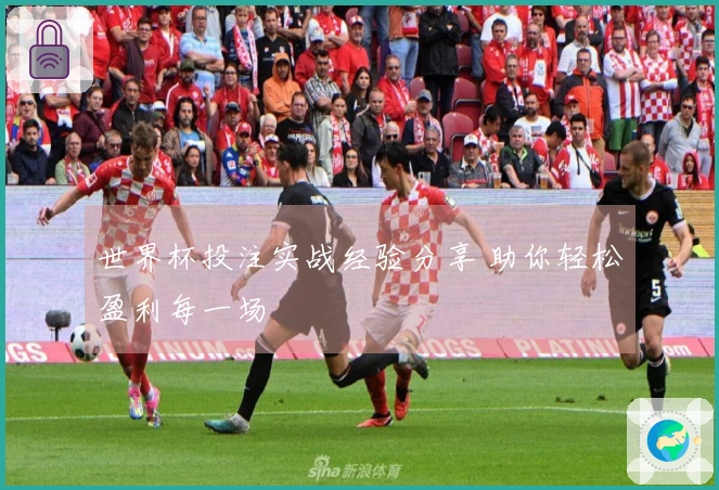 世界杯投注实战经验分享 助你轻松盈利每一场
