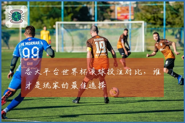 各大平台世界杯滚球投注对比，谁才是玩家的最佳选择