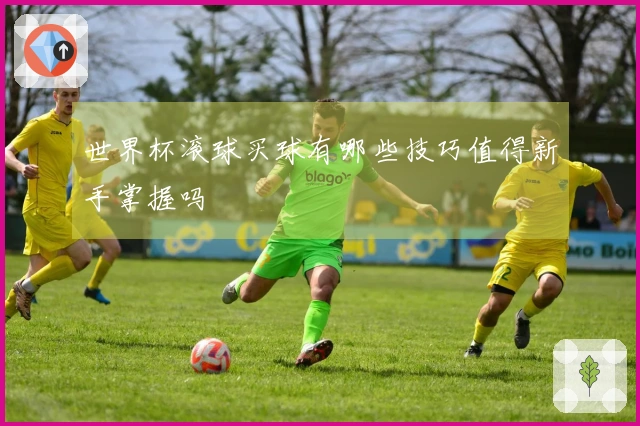 世界杯滚球买球有哪些技巧值得新手掌握吗