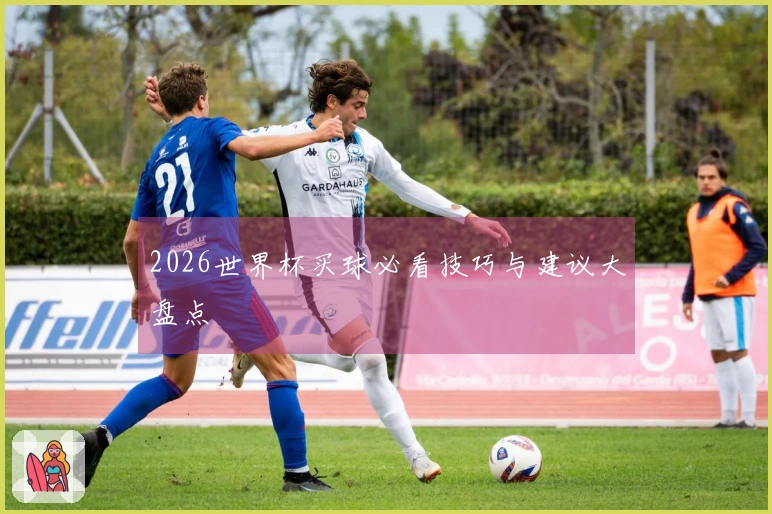 2026世界杯买球必看技巧与建议大盘点