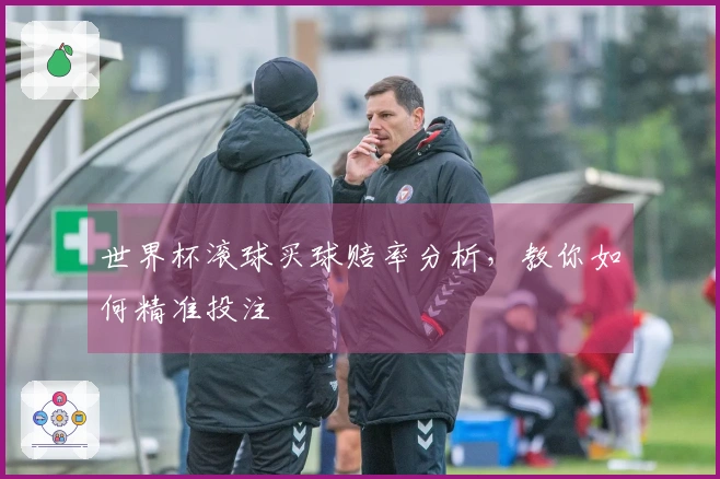 世界杯滚球买球赔率分析，教你如何精准投注