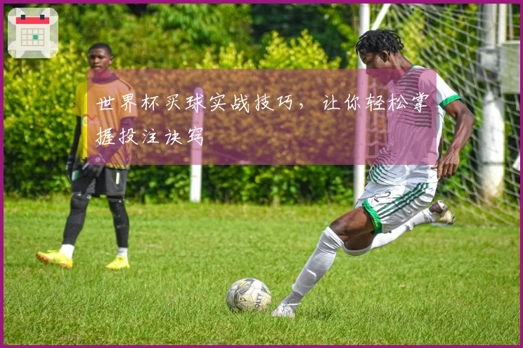 世界杯买球实战技巧，让你轻松掌握投注诀窍