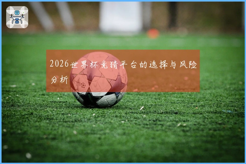 2026世界杯竞猜平台的选择与风险分析