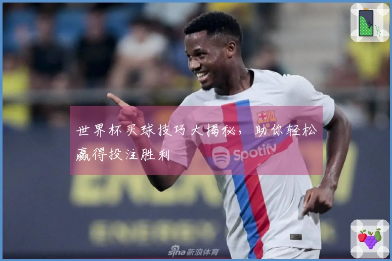 世界杯买球技巧大揭秘，助你轻松赢得投注胜利