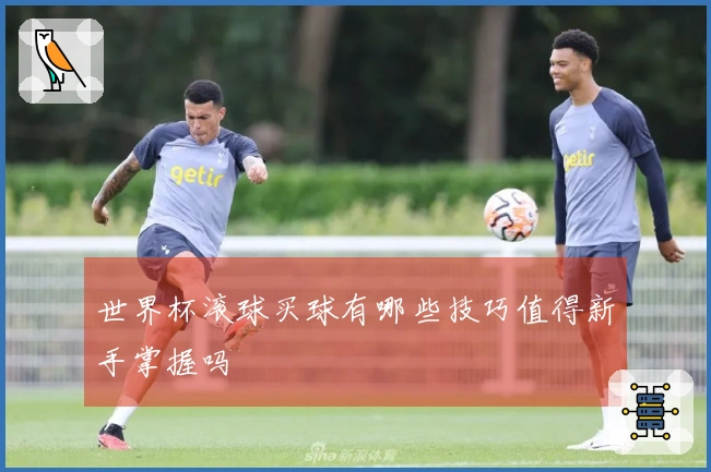 世界杯滚球买球有哪些技巧值得新手掌握吗
