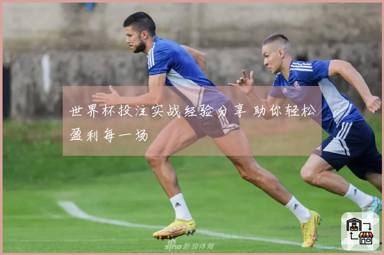 世界杯投注实战经验分享 助你轻松盈利每一场