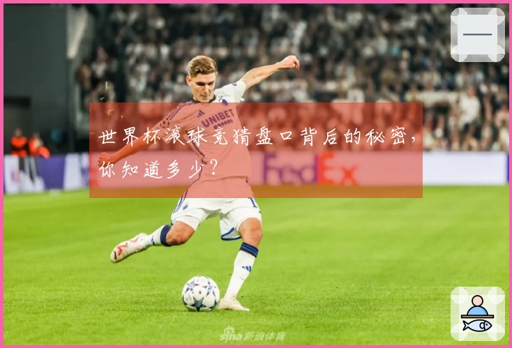 世界杯滚球竞猜盘口背后的秘密，你知道多少？