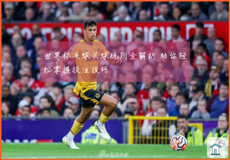 世界杯滚球买球规则全解析 助你轻松掌握投注技巧