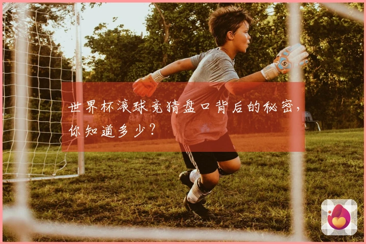世界杯滚球竞猜盘口背后的秘密，你知道多少？