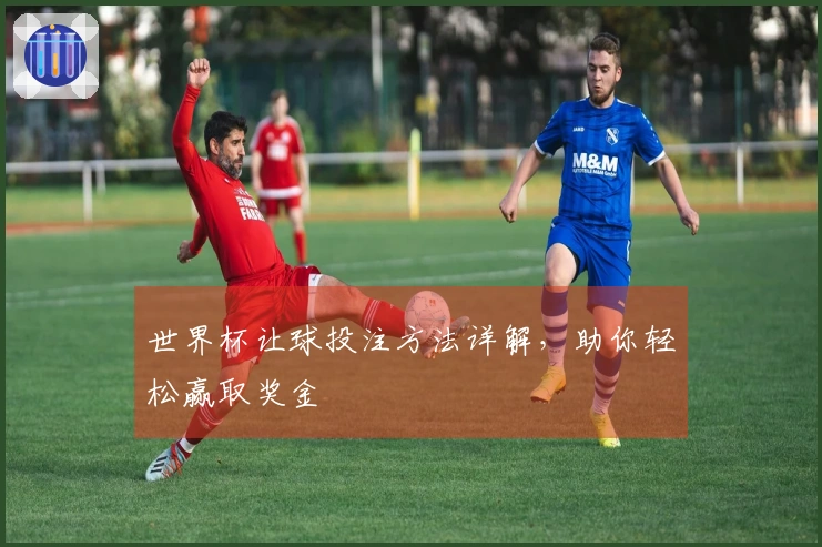 世界杯让球投注方法详解，助你轻松赢取奖金