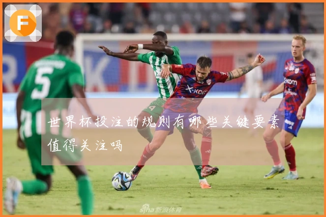 世界杯投注的规则有哪些关键要素值得关注吗
